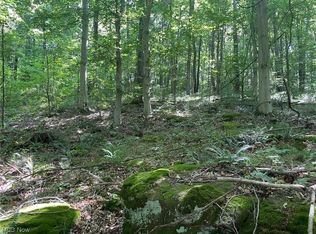 15745 Freedom Rd, Heilwood, OH 43749