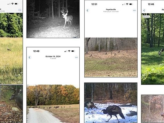 4th image of S Smokey Bear Rd