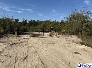 TRACT 1 Hallelujah Rd, Mount Croghan, SC 29727