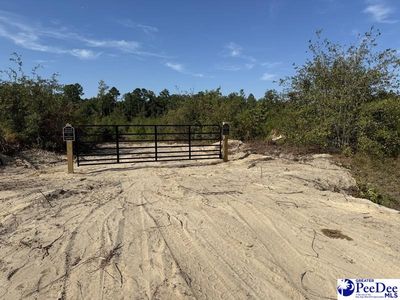 TRACT 1 Hallelujah Rd, Mount Croghan, SC, 29727