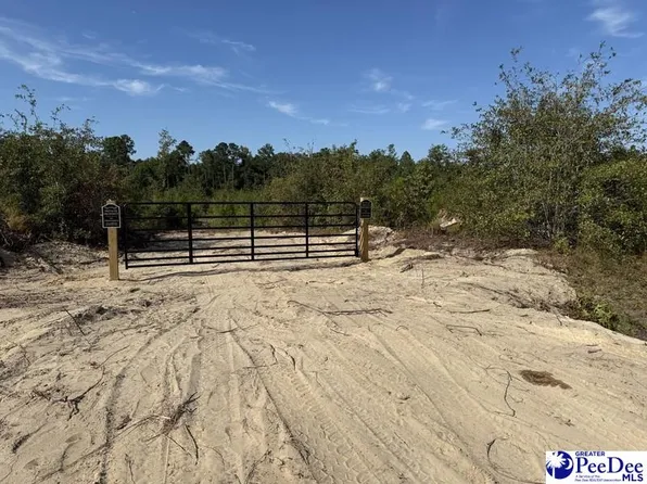 TRACT 1 Hallelujah Rd, Mount Croghan, SC 29727