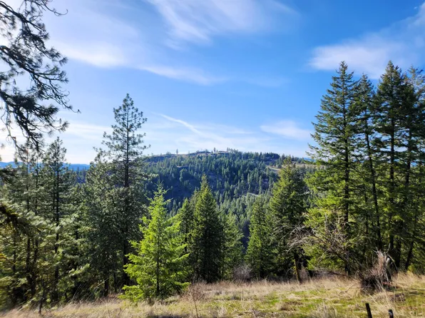 4021 Bissell Rd, Hunters, WA 99137