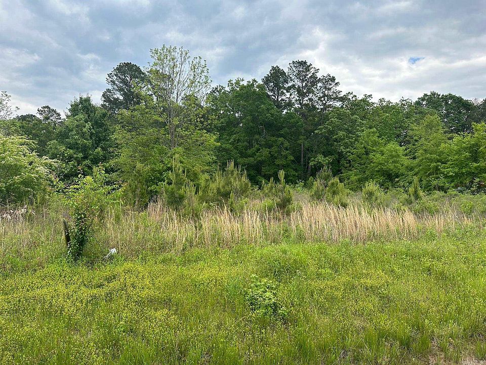 2nd image of Highway 133 Spur