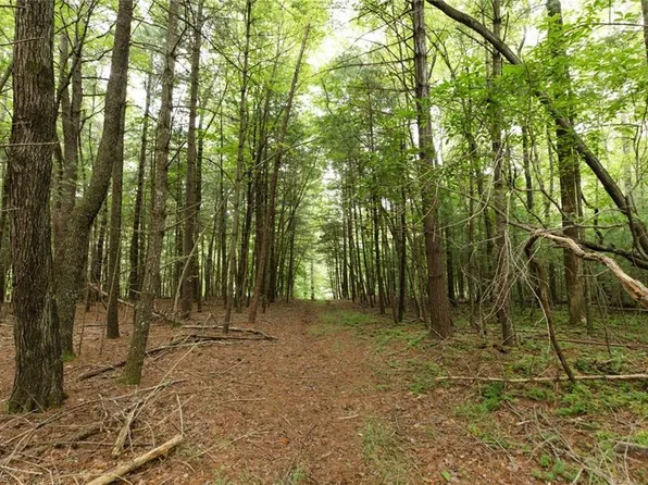 McIntosh Dr Lot 31, Lowgap, NC 27024