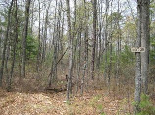 Birds Nest Rd LOT 29, Hinton, VA 22831