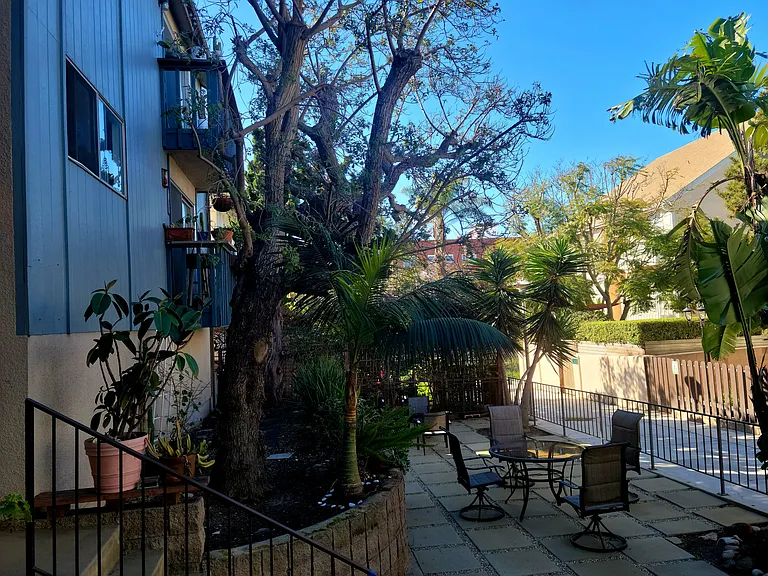 48 Paloma Ave #3 — Photo 17