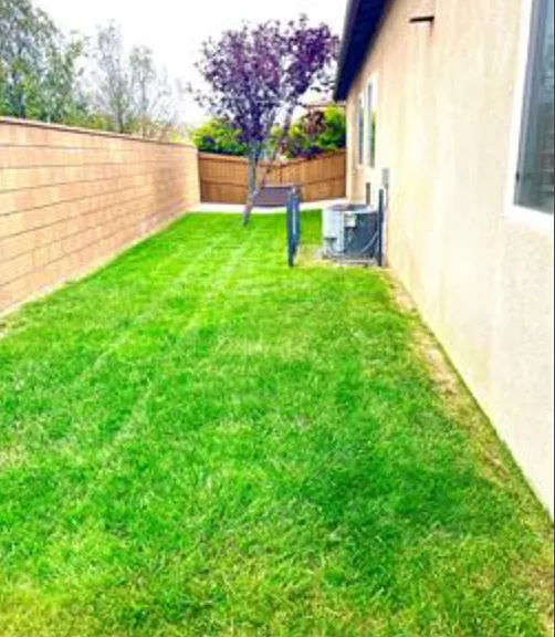 33845 Rustridge St — Photo 23