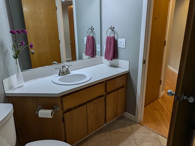 Hall bathroom