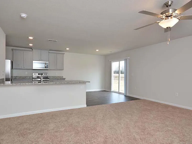 217 Mineral Spring Ln — Photo 5
