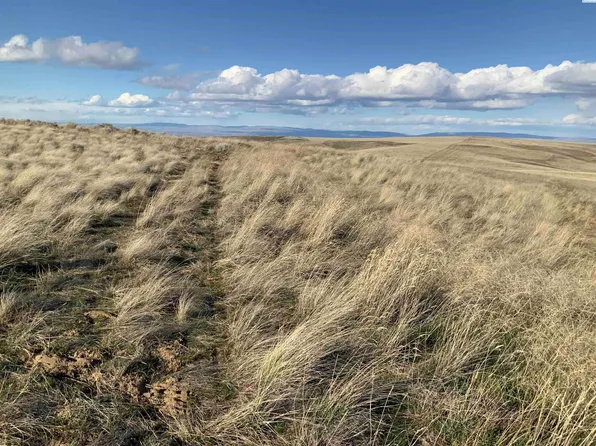 15283 Mabton Bickleton, Mabton, WA 98935