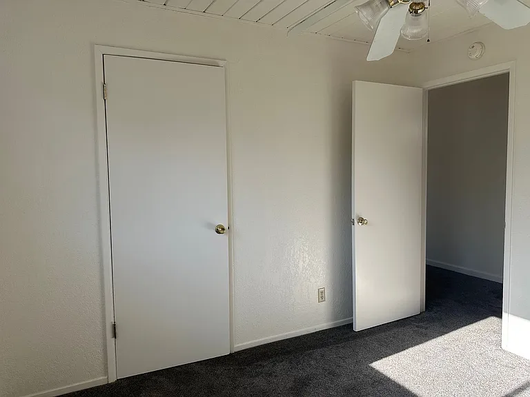 3689 Dowell Ct — Photo 7