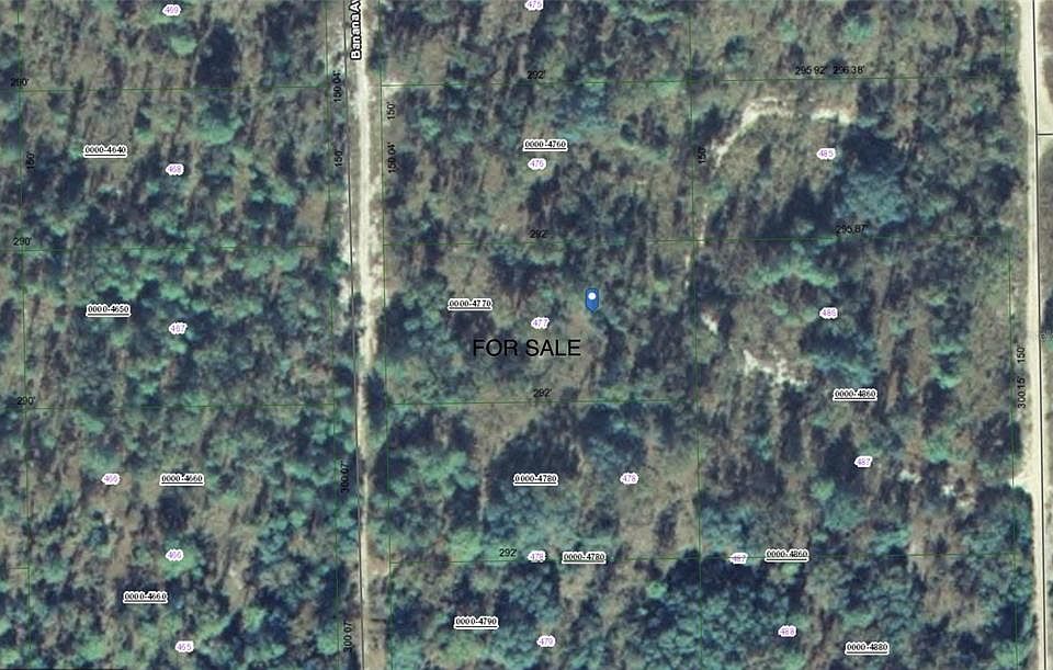 2nd image of 118 BANANA AVENUE