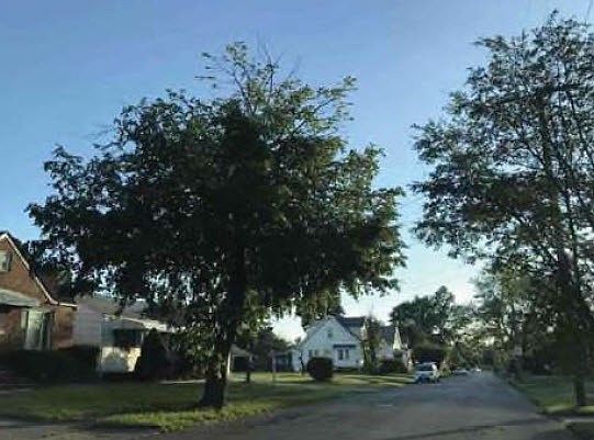 2nd image of 19206 Kildeer Ave