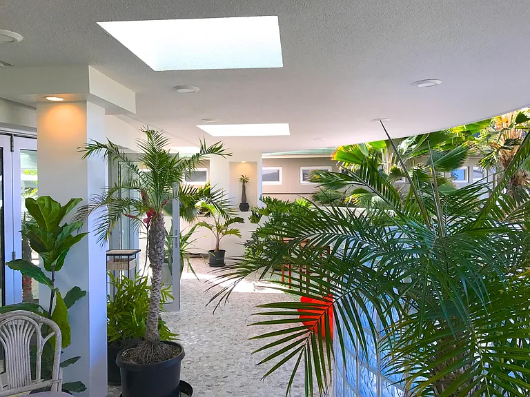 3244 Pali Hwy — Photo 4