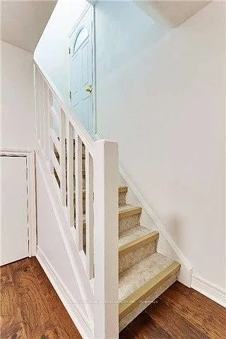 261 Betty Ann Dr — Photo 13