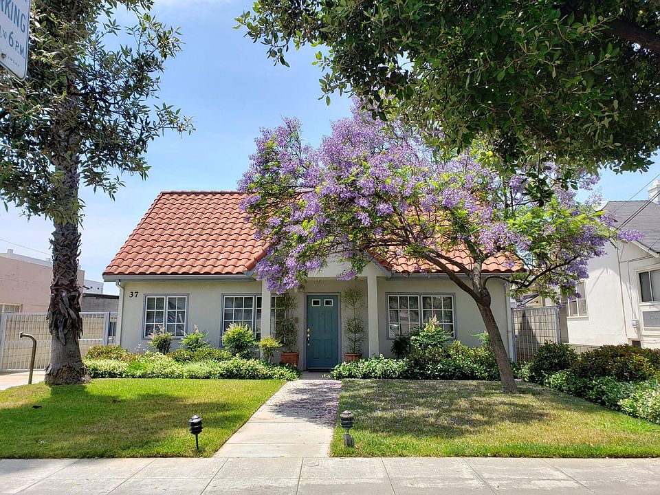 Front of the townhouse, beautiful jacaranda, charming house.