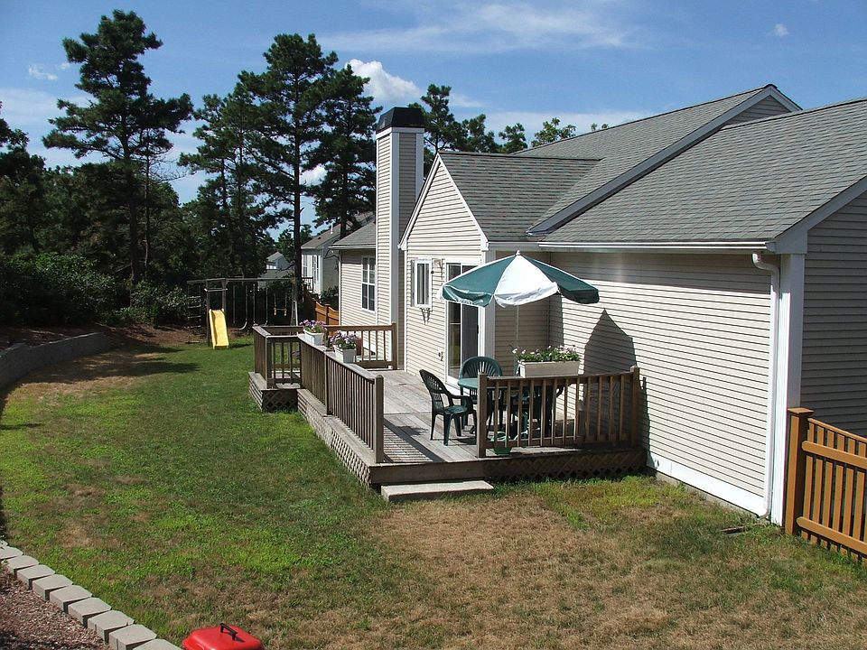 Back view