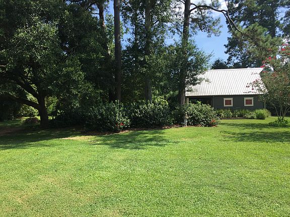 Backyard view