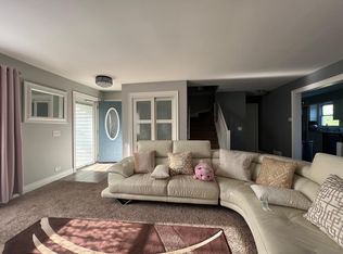 217 S Collins St, South Elgin, IL 60177