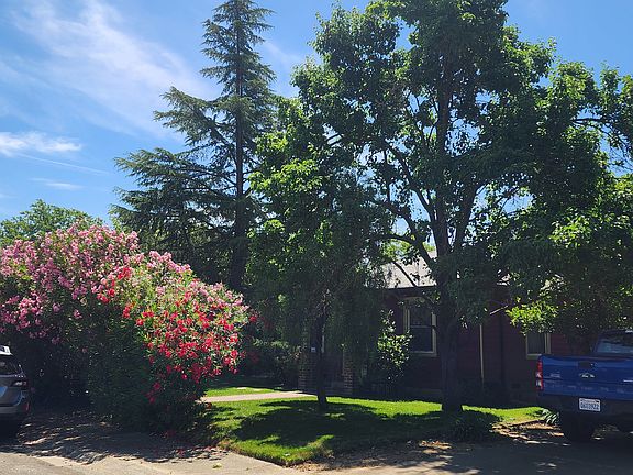 Front yard