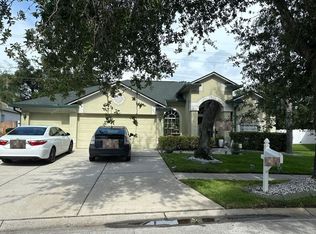 4245 Balington Dr, Valrico, FL 33596