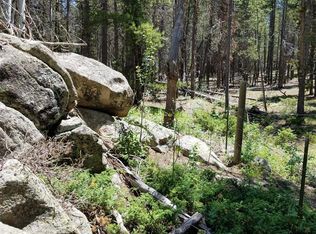 22191 Pleasant Park Rd, Conifer, CO 80433