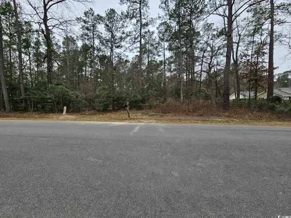 TBD Lot 4 White Oak Ln., Galivants Ferry, SC 29544