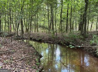 25 Long Branch Rd, Toomsboro, GA 31090