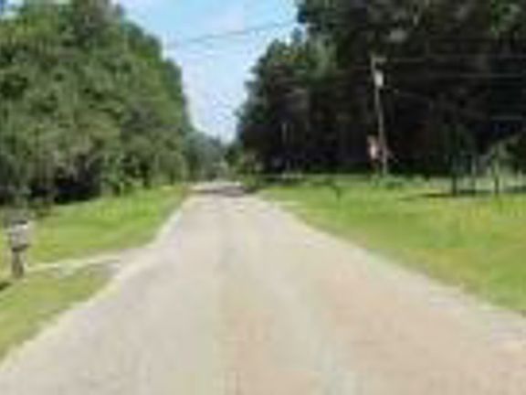 4th image of 1032 Leon Brantley Dr