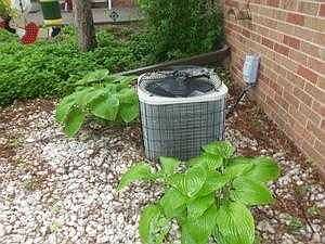 AC UNIT