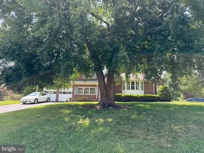 8310 Ashwood Dr, Alexandria, VA, 22308
