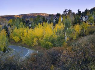 149 Holden Rd, Beaver Creek, CO 81620