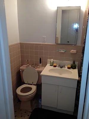 Rented by Eric Goodman Realty Corp | media 20