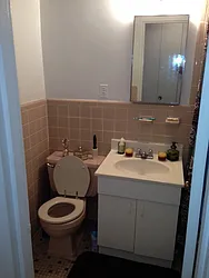 Rented by Eric Goodman Realty Corp