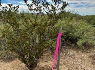 Township Road Nc846 Ruby Rd, Terlingua, TX 79852