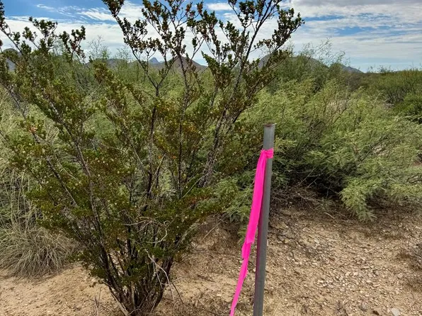 Township Road Nc846 Ruby Rd, Terlingua, TX 79852