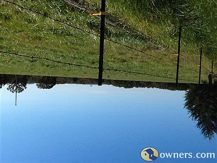 North pasture and pond