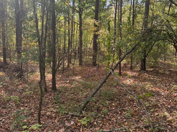 4419 County Road 45, Carrollton, MS 38917