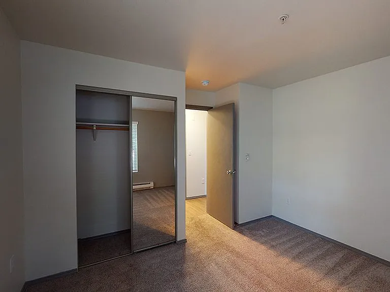 Spacious apartment bedroom with plush carpet flooring.