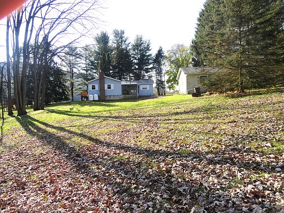 Backyard!