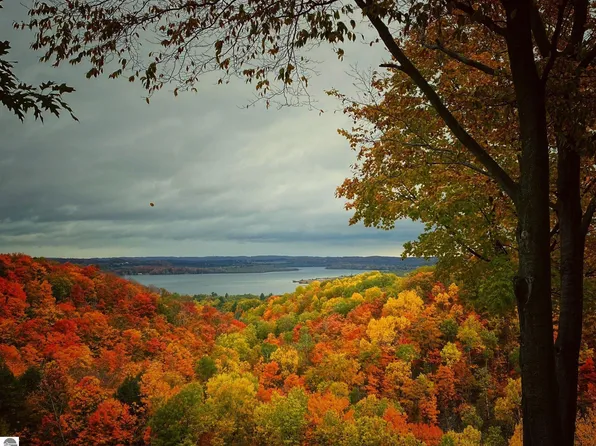 4826 N Cross Over Dr #713, Bellaire, MI 49615