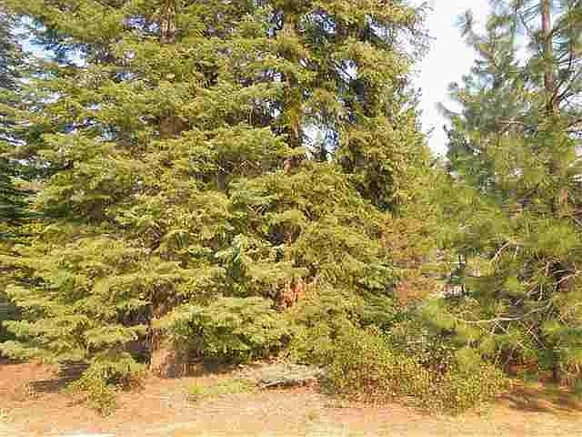 2nd image of 579 Red River Dr