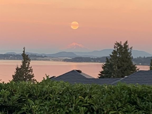 4th image of 660 Frayne Rd