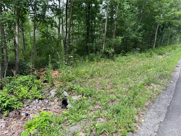 0 Stagecoach Rd Lot 45, Conesus, NY 14435