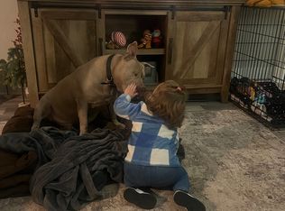 1916 Marion Ave, Lansing, MI 48910