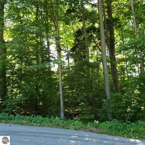 S Fairway Dr, Cedar, MI, 49621