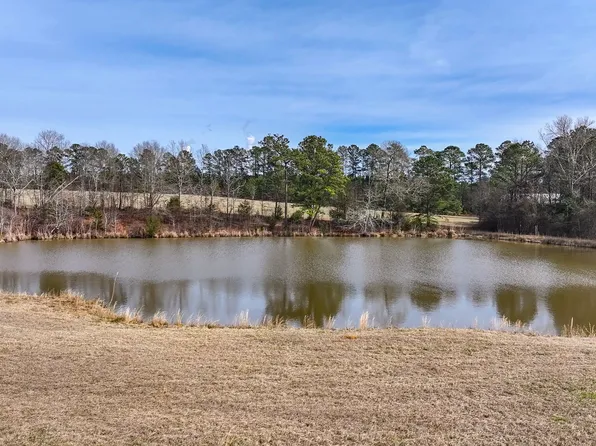 0 Colvin Dr, Forsyth, GA 31029