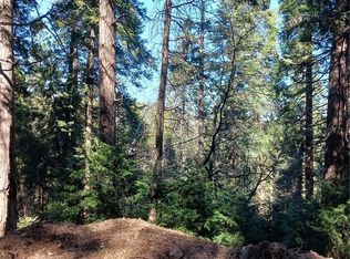 35 Spring Dr LOT 35, Cedarpines Park, CA 92322