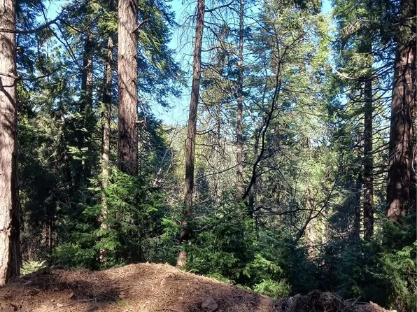 35 Spring Dr Lot 35, Cedarpines Park, CA 92322