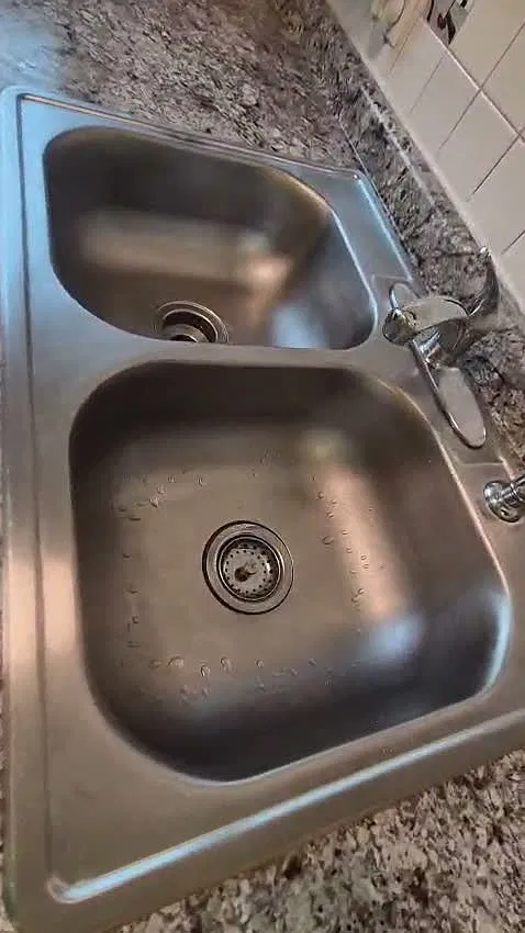 1 bed, $950 — Photo 3